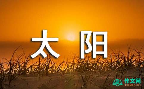 最新你是我心中的太阳作文